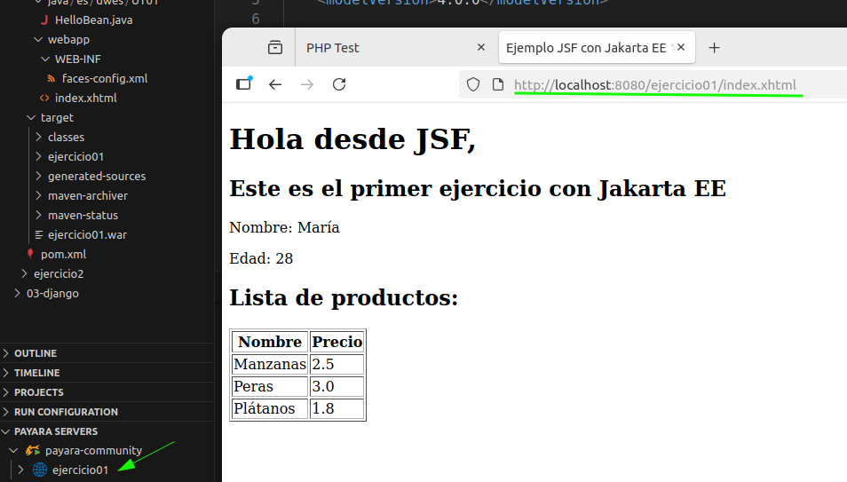 Publicación en Payara